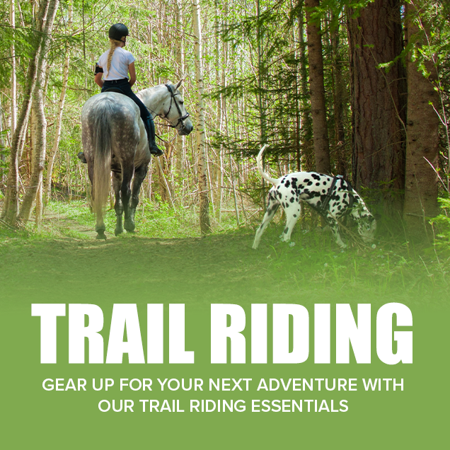 Trail Riding